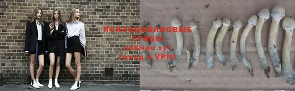 ALPHA PVP Арсеньев